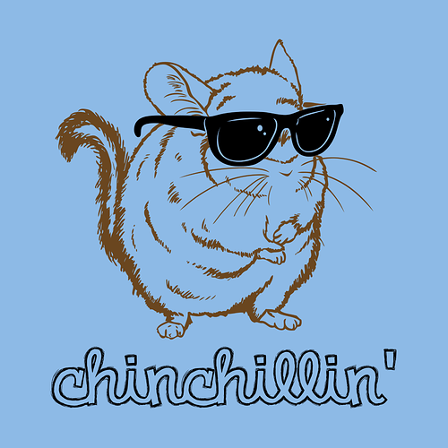 chinchillin_newthumb