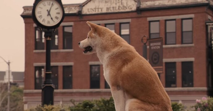 Hachi 11