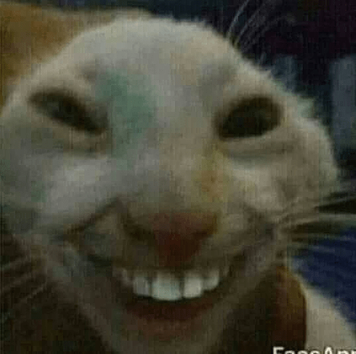 Cat smiling