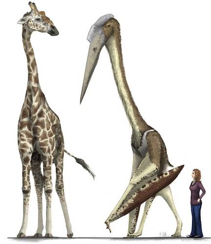 Arambourgiania-vs-giraffe-vs-the-Disacknowledgement-Witton-Low-Res