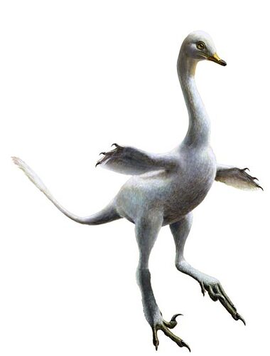 raptor_duck2