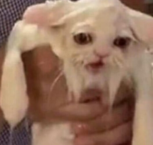 Screenshot_20201220-144608