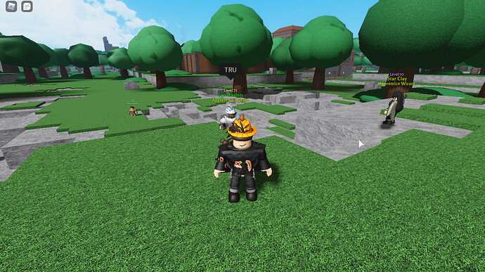 RobloxScreenShot20201125_155233580