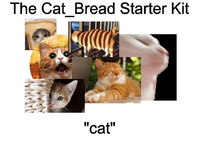 Cat_Bread Starter Kit
