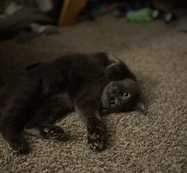 9ceb1130760a9c906f44266ae8657826e2bb7024