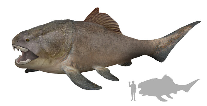 1280px-Dunkleosteus_Artist's_Impression