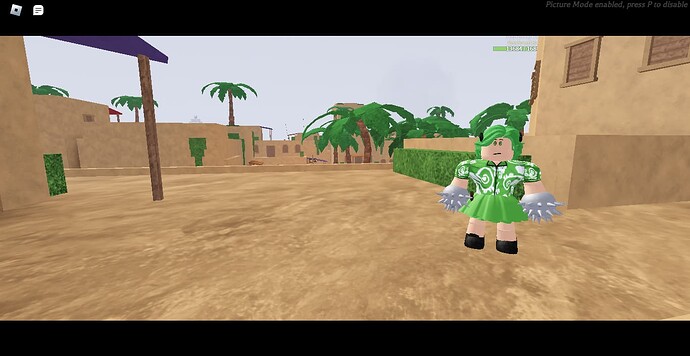 RobloxScreenShot20240518_135501308