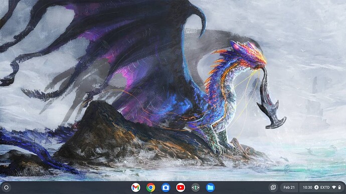 Screenshot 2023-02-21 10.30.36 AM