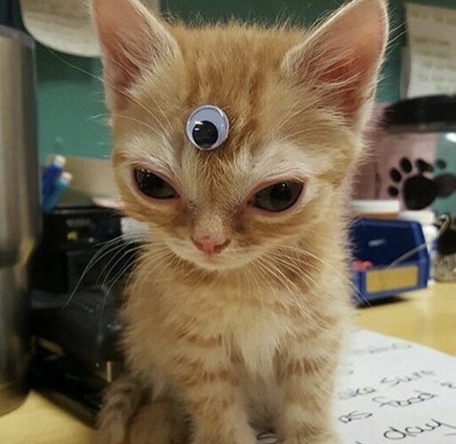 thirdeyekitty
