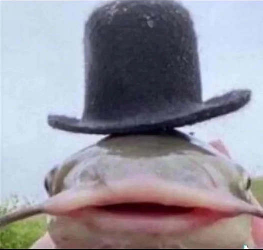 tophat_catfish