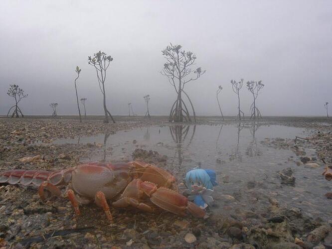 crab_touhou