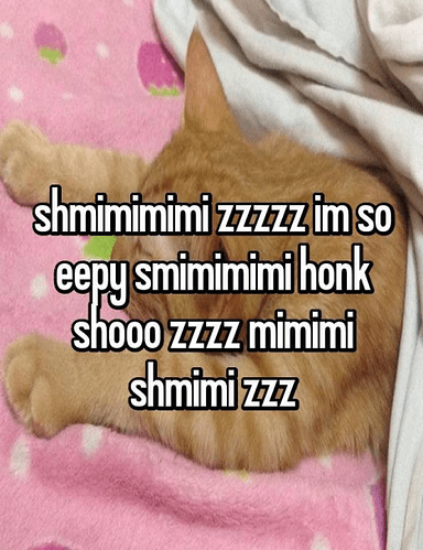 sleepy_cat_zzz