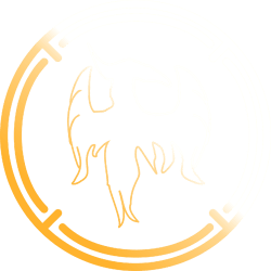 AAOrange-WhitePheonixCircle