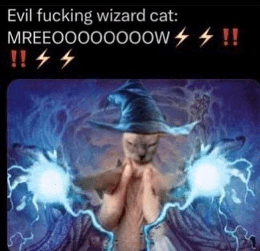 evil_wizard_cat