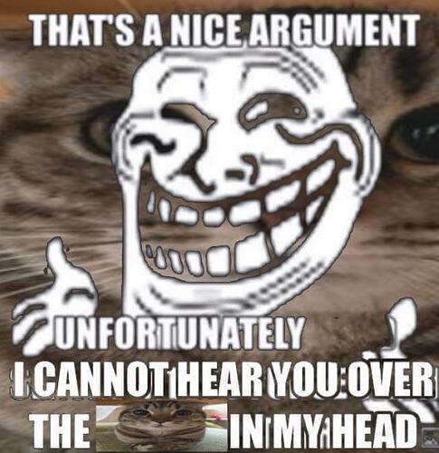 kitty_nice_argument_stfu_cannot_hear_you