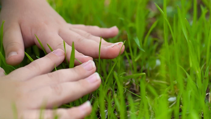hands-touching-grass
