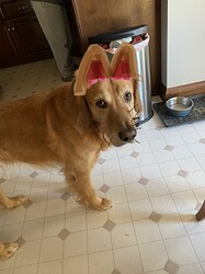 f9667f17732785c9483b08fb2a73784062b28795