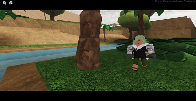 RobloxScreenShot20240519_165737184