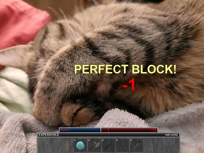 calnie perfect block