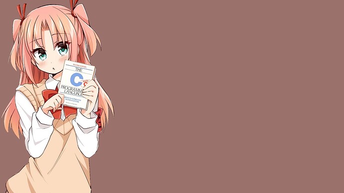 Arikawa_Hime_Holding_C_Programming_Language_wp