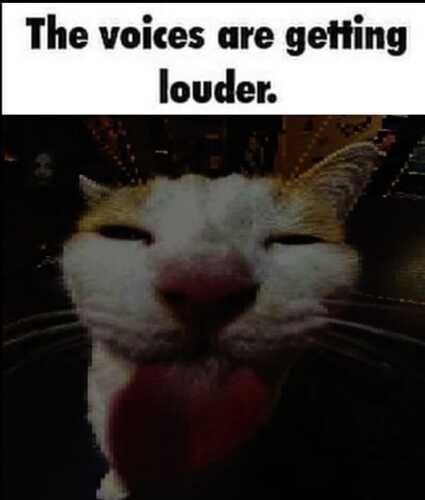 WhatsApp Image 2025-09-09 at 15.41.15_a5f53808