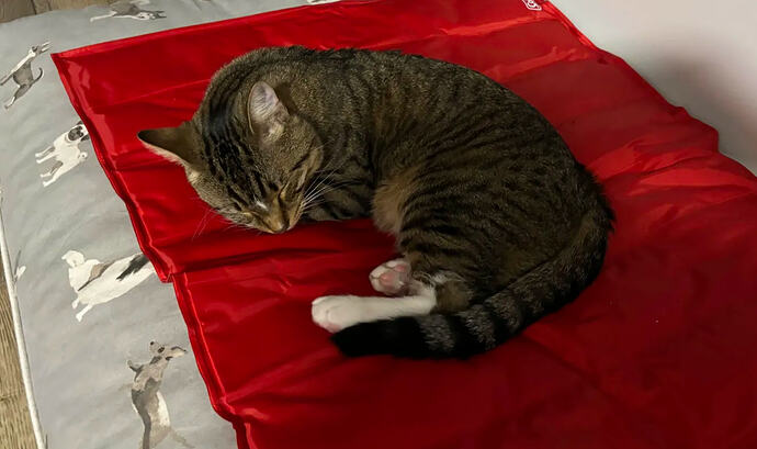 Screenshot 2026-02-08 at 6.35.01 PM