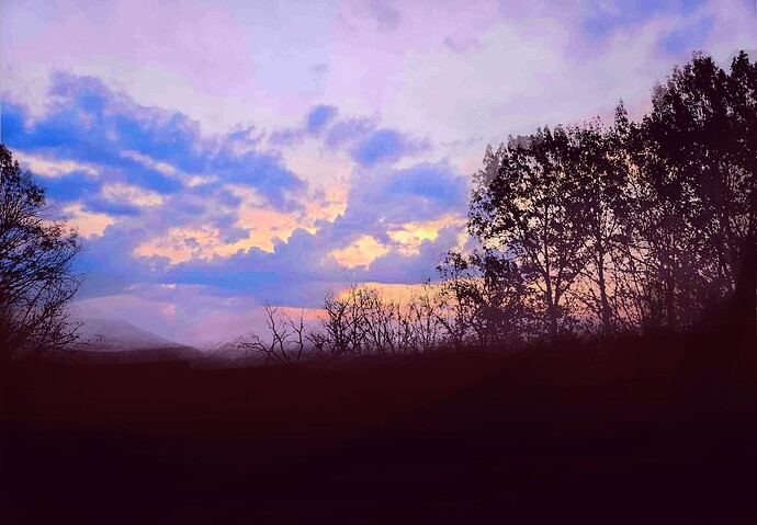 Untitled_Artwork-361