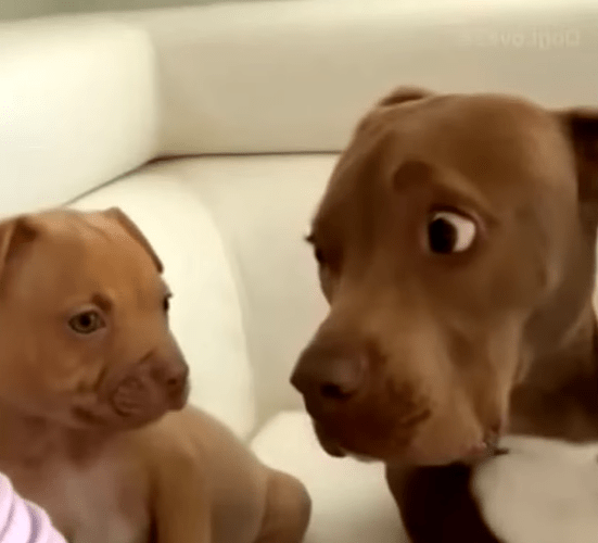 Screenshot 2025-11-12 6.47.05 PM