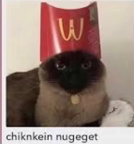 static-assets-upload12100810388763454549