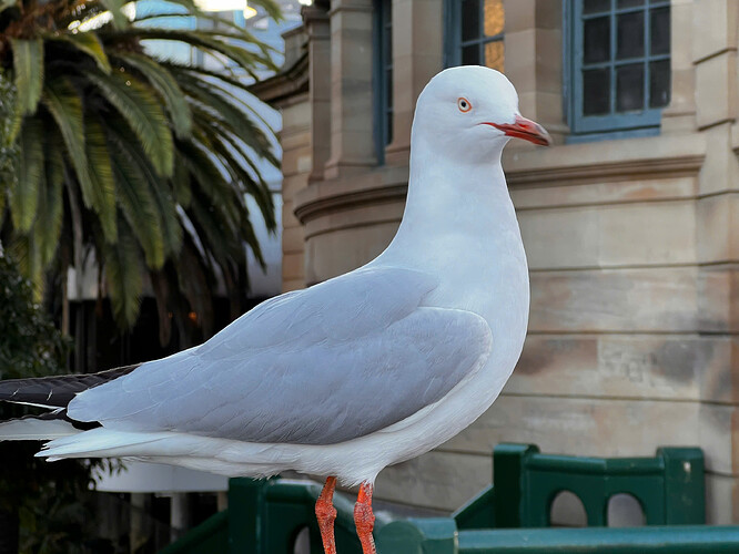 z7043352294912_bb4bf5866fb98fe45ddf2cf8b68cbc64