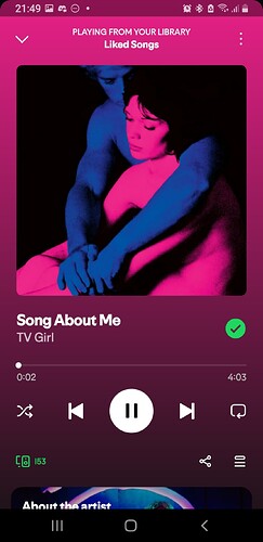 Screenshot_20250629-214907_Spotify