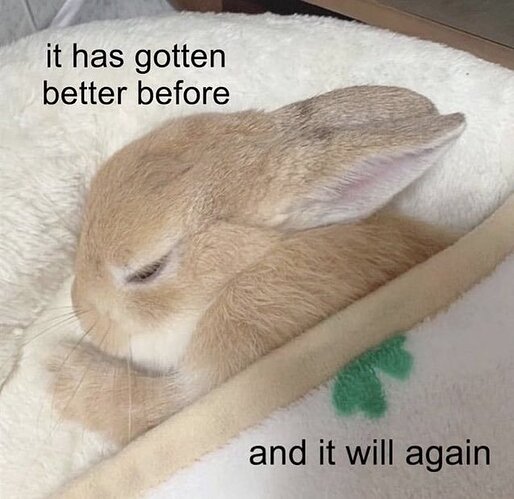 bunny_bed_better