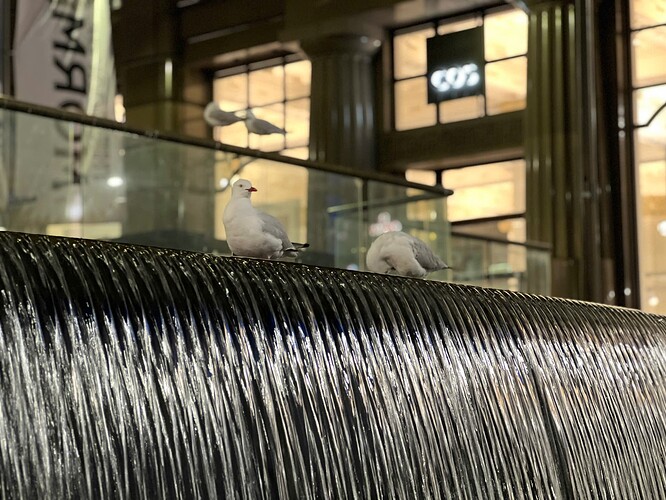 z7043352251857_f9eb2cbf8c9a1d4b2c906d0e21bdf772