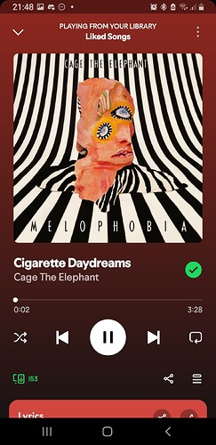 Screenshot_20250629-214900_Spotify