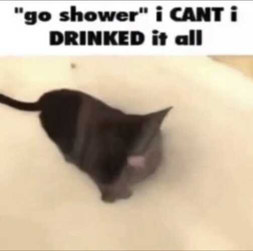 WhatsApp Image 2025-09-09 at 15.41.15_757a2afe