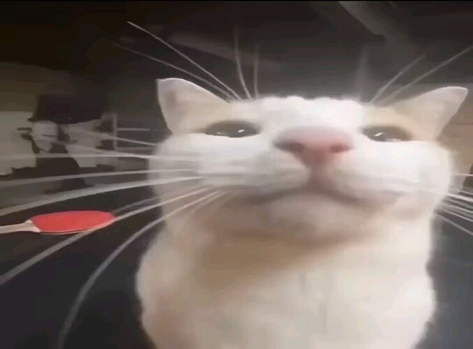 Screenshot_20250603_001702_TikTok