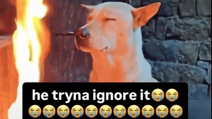 he-tryna-ignore-it-he-tryna-ignore-it-original
