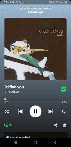 Screenshot_20250629-214926_Spotify