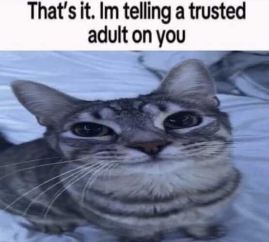 WhatsApp Image 2025-09-09 at 15.41.14_01ffbf66