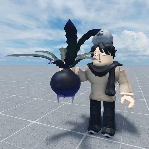 RobloxScreenShot20260114_093946420