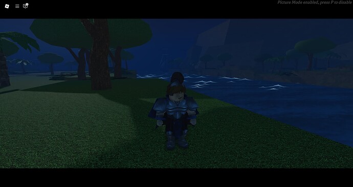 RobloxScreenShot20241215_111009713