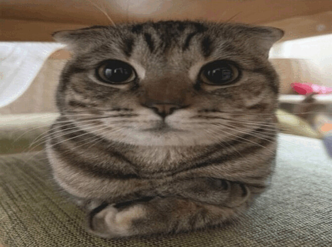 Me_When