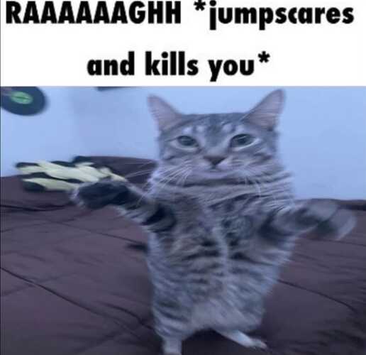 WhatsApp Image 2025-09-09 at 15.41.14_b124e18c