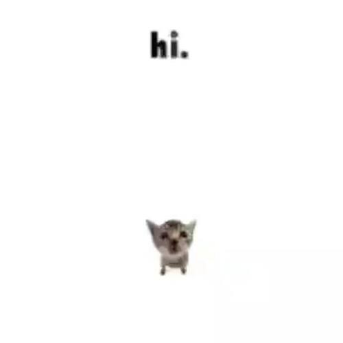 Hi_
