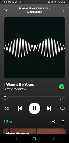 Screenshot_20250629-214938_Spotify