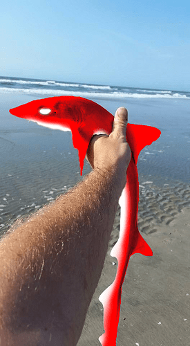 stupid dumb idiot white eyes