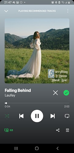 Screenshot_20250629-214717_Spotify