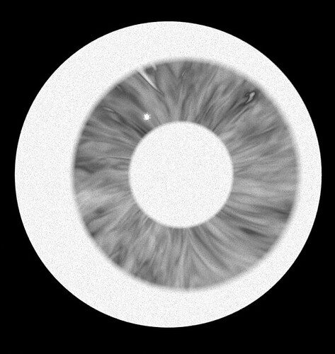 The actual heigh map eye