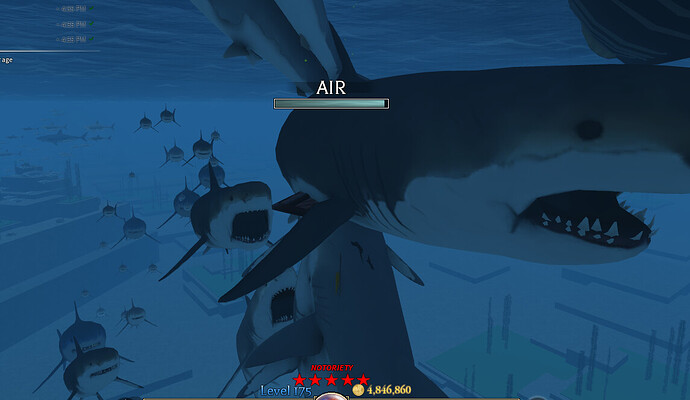 sharks