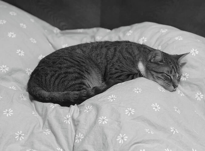 Screenshot 2026-01-29 at 10.19.32 AM